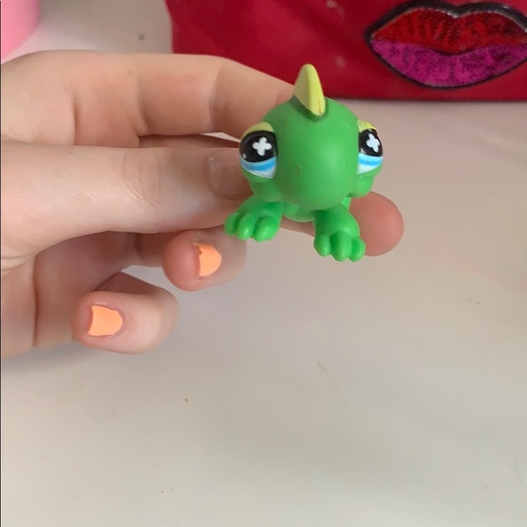 LPS lizard 🦎 - Picture 5 of 5